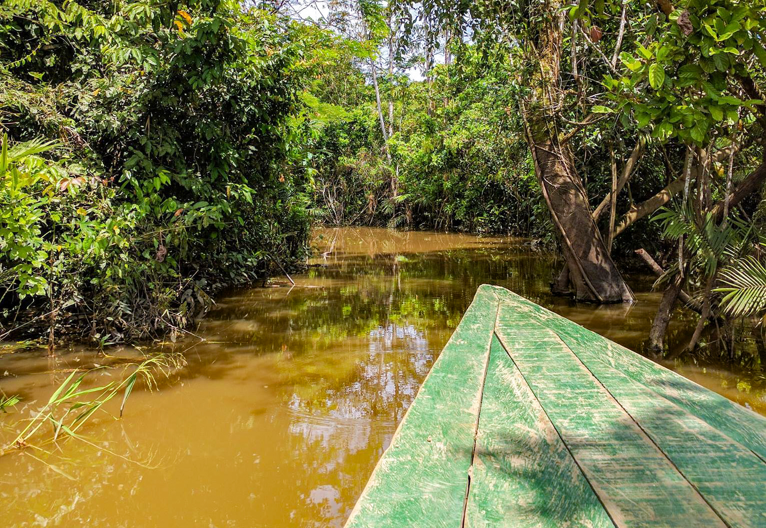 Backwaters